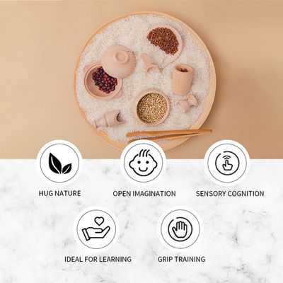 Grupo diminuto de madeira da cozinha da faia unisex de Montessori