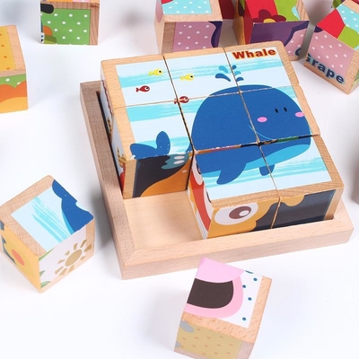 cubos tomados partido educacionais dos blocos de apartamentos 3D de madeira seis para crianças
