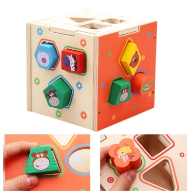 Resolução de problemas geométrica de madeira do desenvolvimento de Toy Teaching Aid Baby Brain